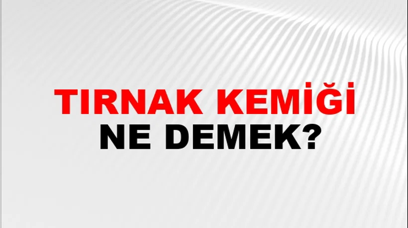Tırnak Kemiği Tırnak Kemiği