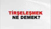 Tirşeleşmek
