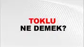 Toklu