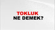 Tokluk