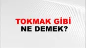 Tokmak Gibi