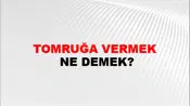 Tomruğa Vermek