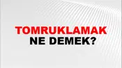Tomruklamak