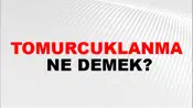 Tomurcuklanma