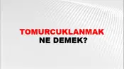 Tomurcuklanmak