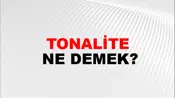 Tonalite