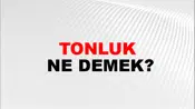 Tonluk