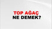 Top Ağaç
