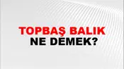 Topbaş Balık