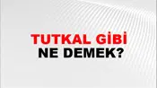 Tutkal Gibi