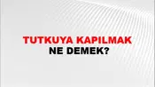 Tutkuya Kapılmak