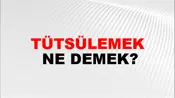 Tütsülemek