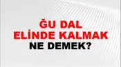 Tuttuğu Dal Elinde Kalmak