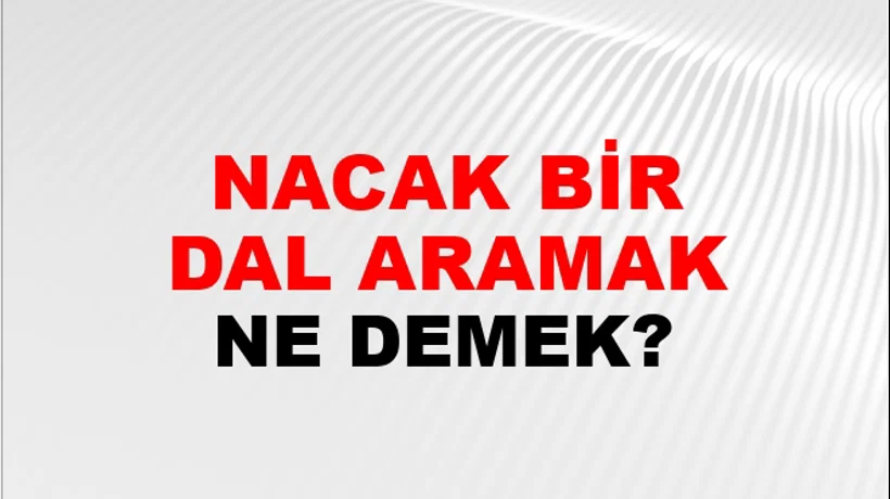 Tutunacak Bir Dal Aramak Tutunacak Bir Dal Aramak