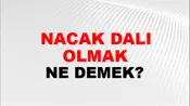 Tutunacak Dalı Olmak