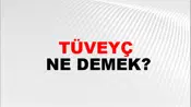 Tüveyç