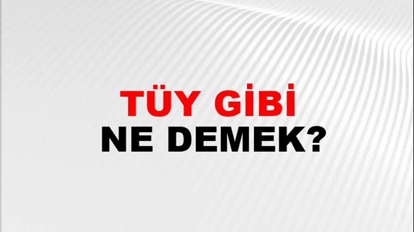 Tüy Gibi Tüy Gibi