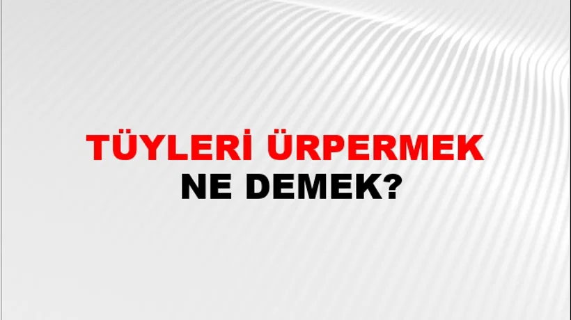 Tüyleri Ürpermek Tüyleri Ürpermek