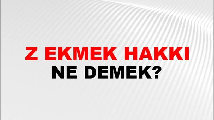 Tuz Ekmek Hakkı Tuz Ekmek Hakkı