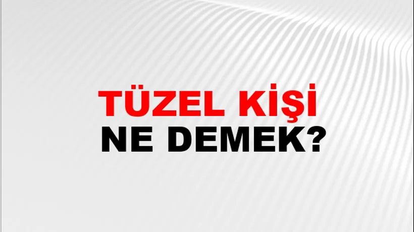 Tüzel Kişi Tüzel Kişi