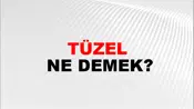 Tüzel