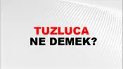 Tuzluca