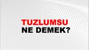 Tuzlumsu