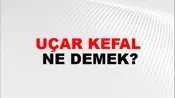 Uçar Kefal