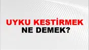 Uyku Kestirmek