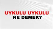 Uykulu Uykulu