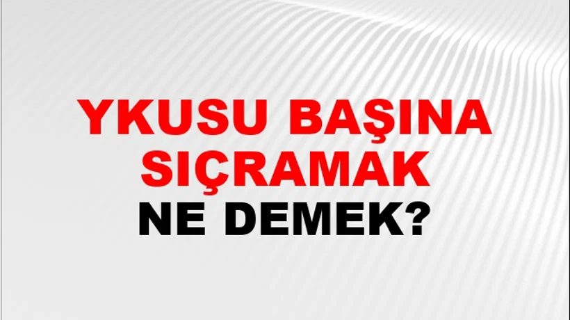 Uykusu Başına Sıçramak Uykusu Başına Sıçramak