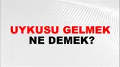 Uykusu Gelmek