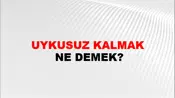 Uykusuz Kalmak