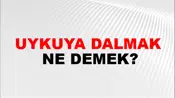Uykuya Dalmak