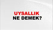 Uysallık