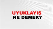 Uyuklayış