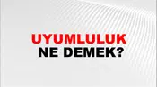 Uyumluluk