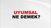 Uyumsal