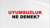 Uyumsuzluk