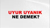 Uyur Uyanık