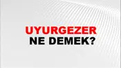 Uyurgezer