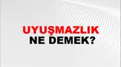 Uyuşmazlık