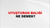 Uyuşturan Balığı