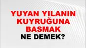 Uyuyan Yılanın Kuyruğuna Basmak