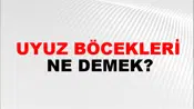 Uyuz Böcekleri