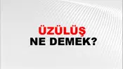 Üzülüş