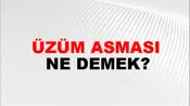Üzüm Asması