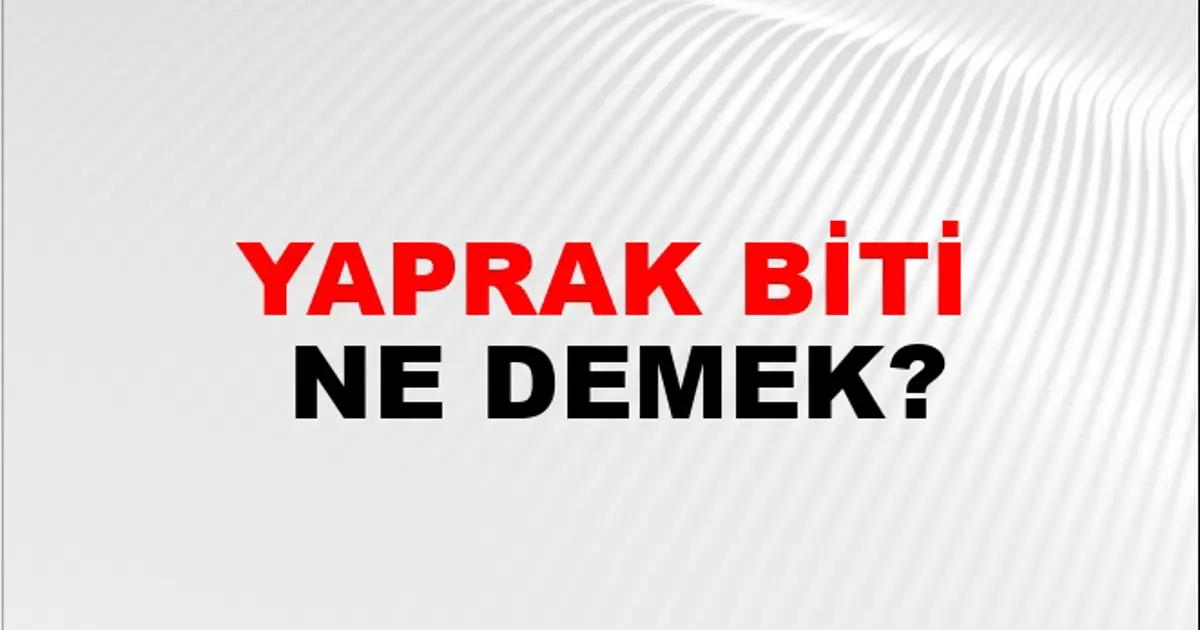 yaprak-biti_46355.jpg?format=webp&width=1200&height=630