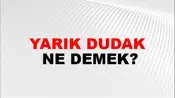 Yarık Dudak