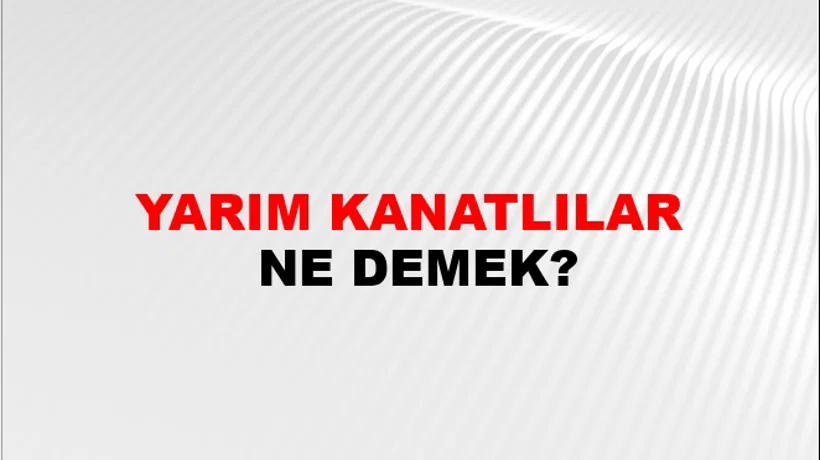 Yarım Kanatlılar Yarım Kanatlılar